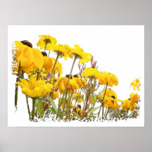 Schwarzer mit Augen Susan-Blumen-Kunst-Druck Plakatdruck