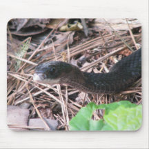 Schwarzer Rennläufer-Jagd Mousepad