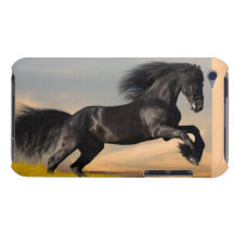 Schwarzer Schönheits-Case-Mate-Kasten Barely There iPod Etuis