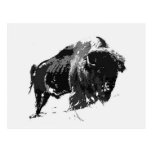Schwarzer u. weißer Bison/Büffel Postkarte