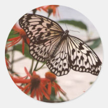 SCHWARZER U. WEISSER SCHMETTERLING MIT ORANGE BLUM RUNDE STICKER