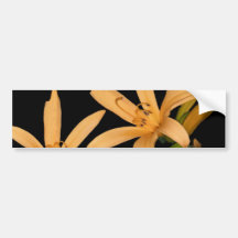 Schwarzer und orange Lilly Autoaufkleber