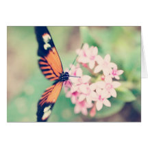 schwarzer und orange Schmetterling auf einer rosa  Grußkarte