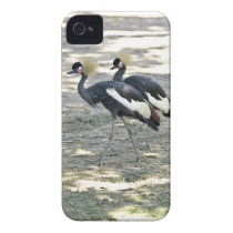 Schwarzes gekrönter Kran iPhone 4 Fall casemate hüllen