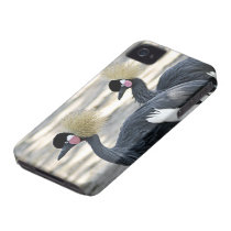 Schwarzes gekrönter Kran iPhone 4 Fall casemate hüllen
