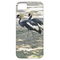 Schwarzes gekrönter Kran iPhone 5 Fall casemate hüllen