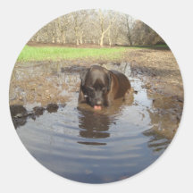 Schwarzes Labrador holen zurück Runder Sticker