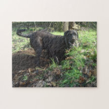 schwarzes labrador retriever jigsaw puzzles