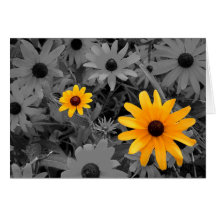 Schwarzes mit Augen Susans Grußkarten