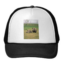 Schwarzes Nashorn - Mutter mit großem Kalb Baseballcap