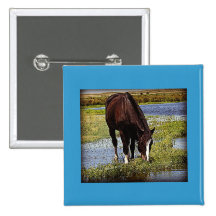 Schwarzes Pferd Anstecknadelbutton
