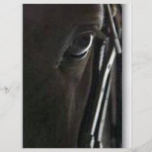 schwarzes Pferd Bedruckte Flyer