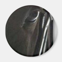 schwarzes Pferd Kühlschrankmagnet