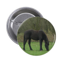 Schwarzes Pferd stehend Button