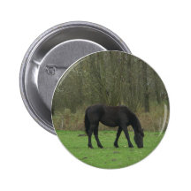 Schwarzes Pferdegehen Button