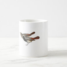 Schwarzes Redstart Teetasse