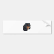 Schwarzes u. TAN Autosticker