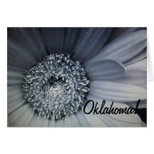 Schwarzweiss-Foto einer Blume Grußkarte