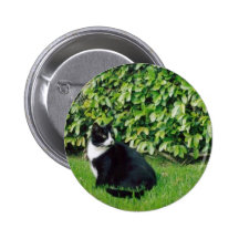 Schwarzweiss-Katze Anstecknadelbutton
