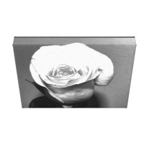Schwarzweiss-Rose eingewickelte Leinwand-Kunst Gespannte Galerie Drucke