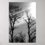 Schwarzweiss-Sonnenschutz canvase Druck Plakate
