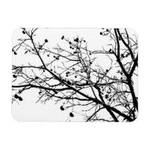 Schwarzweiss-Winter-Baum Eckiger Magnet