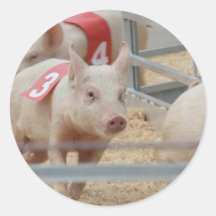 Schwein, das rosa Ferkel Nr. drei läuft Runder Sticker