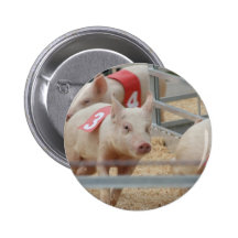 Schwein, das rosa Ferkel Nr. drei läuft Buttons