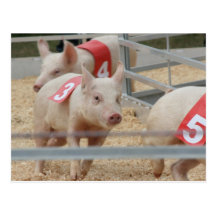 Schwein, das rosa Ferkel Nr. drei läuft Postkarten