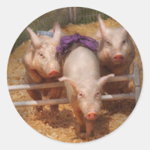 Schwein - Erhalten der letzten Hürden Aufkleber
