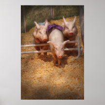 Schwein - Erhalten der letzten Hürden Posterdrucke