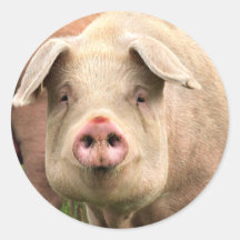Schwein gehabt stickers