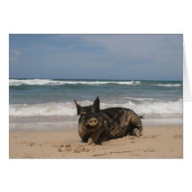 Schwein im Paradies Karte