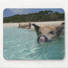 Schwein Mousepads