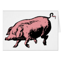 Schwein Sau pig hog Karte