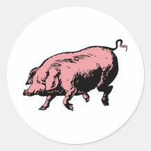 Schwein Sau pig hog Runde Sticker