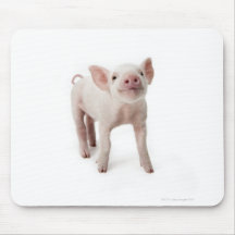 Schwein-stehendes oben schauen mousepads