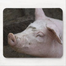 Schweineportrait Mauspad