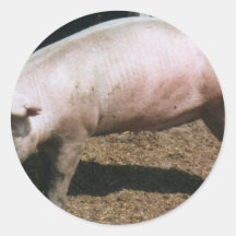 Schweinland Runder Aufkleber