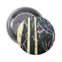 SchwingAgaveleave Buttons