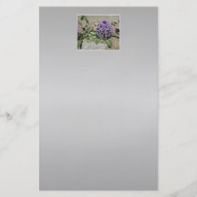 Scilla. Lila Blume in einem Garten. Auf Grau Personalisierte Flyer
