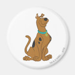 Scooby Doo niedlichere als niedliche Pose 15 Magnete