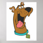 Scooby Doo Pose 49 Posterdrucke