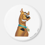 Scooby Doo Spritzpistolen-Pose 22 Magnete