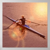Sculling Plakat