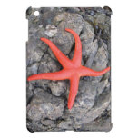 Seastar ipad mini hüllen