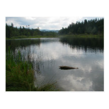 See Padden Stille Postkarten