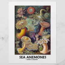 Seeanemonen Personalisierte Flyer