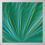 Seegras-Plakat