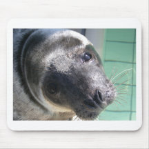Seelöwe Mauspad